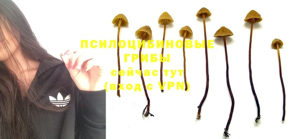 МДМА Вяземский