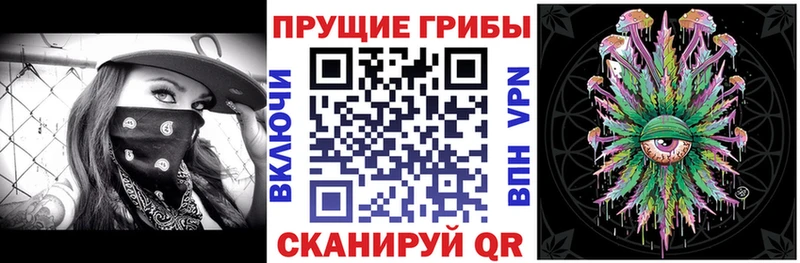 Псилоцибиновые грибы ЛСД  кракен ссылки  Екатеринбург  наркошоп 